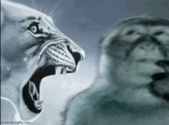 image tagged in tiger roaring at the thinking monkey | made w/ Imgflip meme maker