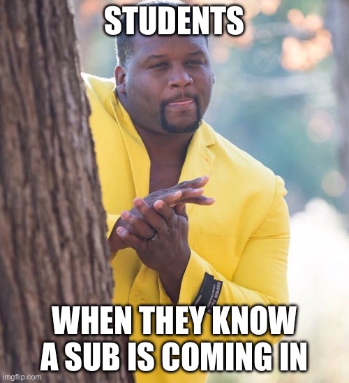 Teacher humor substitute | STUDENTS; WHEN THEY KNOW A SUB IS COMING IN | image tagged in black guy hiding behind tree,teacher meme | made w/ Imgflip meme maker