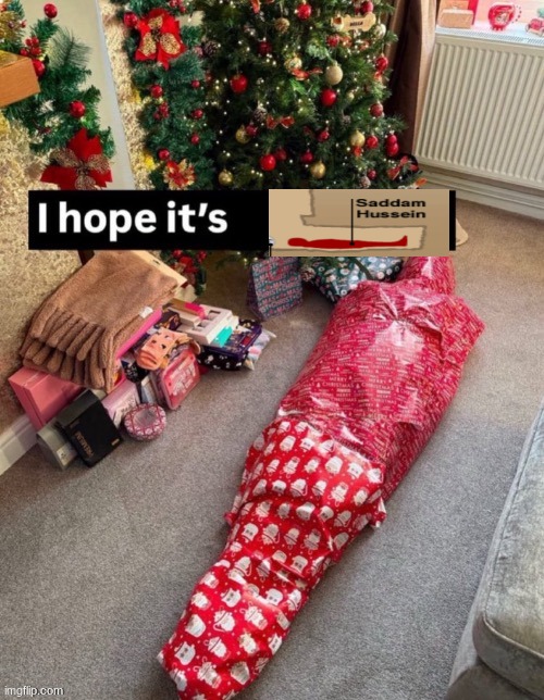 yup, that's Saddam Hussein | image tagged in i hope it s x | made w/ Imgflip meme maker
