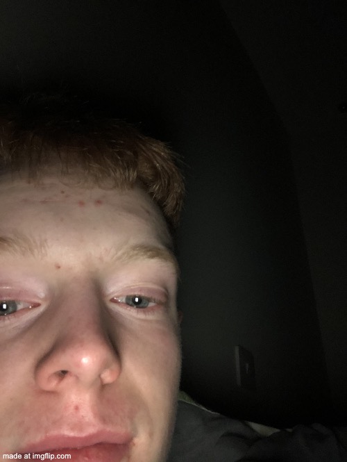 Random photo I accidentally took | image tagged in random photo i accidentally took | made w/ Imgflip meme maker