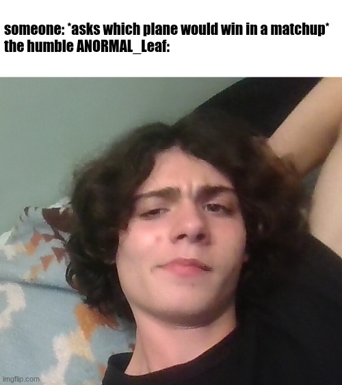 someone: *asks which plane would win in a matchup*
the humble ANORMAL_Leaf: | image tagged in 4m4 | made w/ Imgflip meme maker