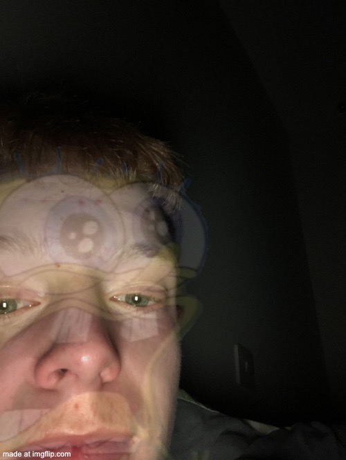 I just searched up ironmouse for some reason | image tagged in random photo i accidentally took | made w/ Imgflip meme maker