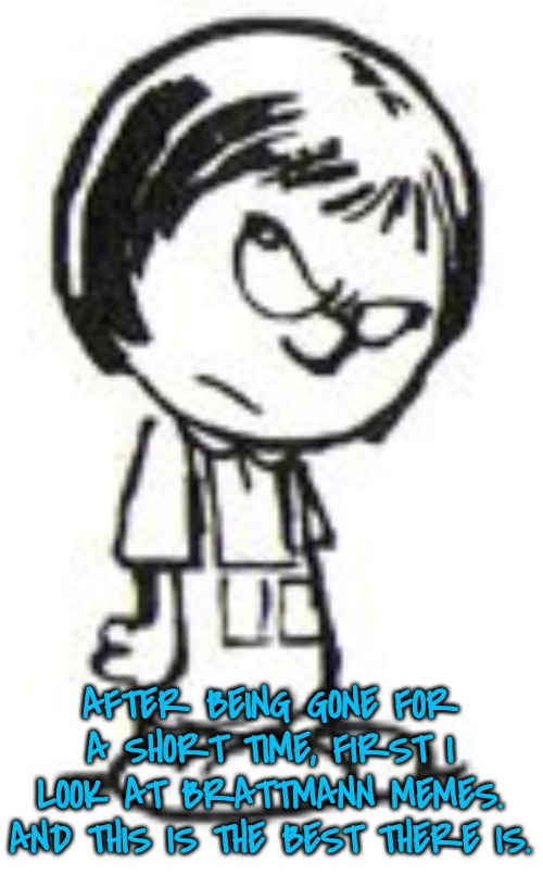 Humph | AFTER BEING GONE FOR A SHORT TIME, FIRST I LOOK AT BRATTMANN MEMES. AND THIS IS THE BEST THERE IS. | image tagged in humph | made w/ Imgflip meme maker