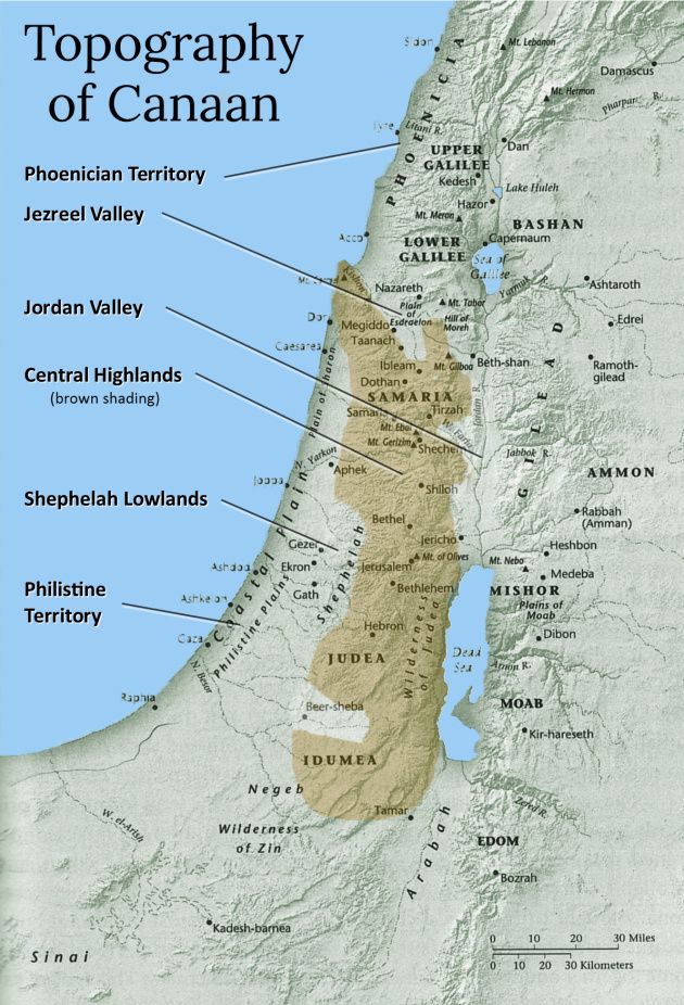 Canaan Blank Meme Template