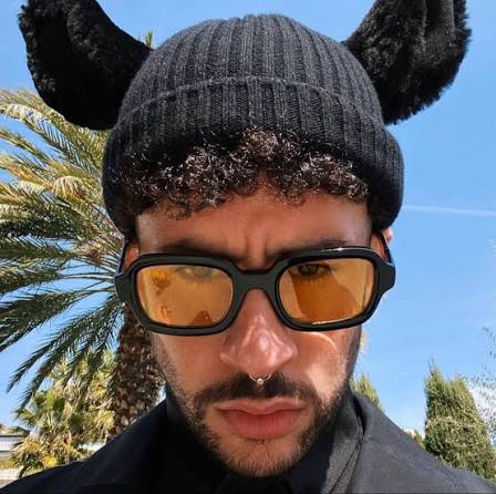 Bad bunny Blank Meme Template