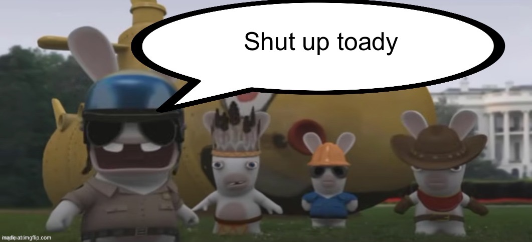 Soldier Rabbid Yelling | Shut up toady | image tagged in soldier rabbid yelling | made w/ Imgflip meme maker