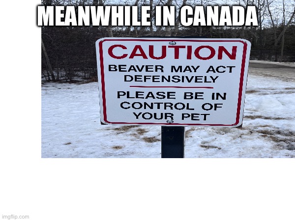 Ben is cool | MEANWHILE IN CANADA | image tagged in meanwhile in canada | made w/ Imgflip meme maker