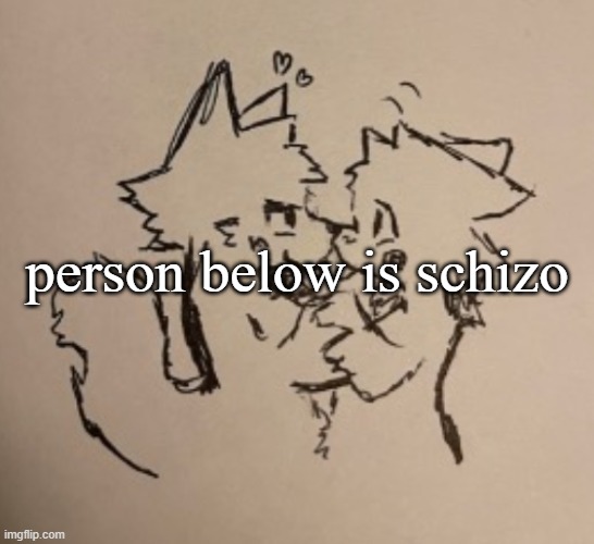 Boykisser | person below is schizo | image tagged in boykisser | made w/ Imgflip meme maker