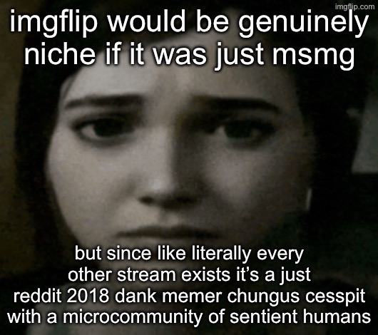 ellie | imgflip would be genuinely niche if it was just msmg; but since like literally every other stream exists it’s a just reddit 2018 dank memer chungus cesspit with a microcommunity of sentient humans | image tagged in ellie | made w/ Imgflip meme maker