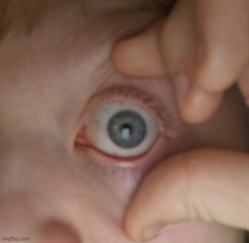 Eye reveal | made w/ Imgflip meme maker