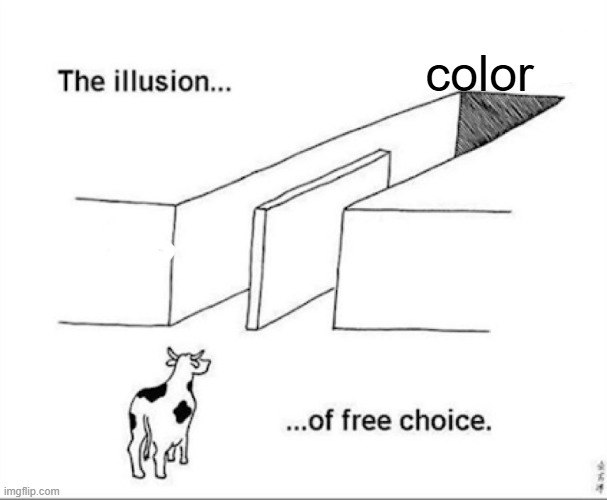 color | image tagged in illusion of free choice | made w/ Imgflip meme maker