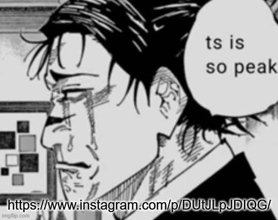 Ts is so peak | https://www.instagram.com/p/DUtJLpJDIQG/ | image tagged in ts is so peak | made w/ Imgflip meme maker