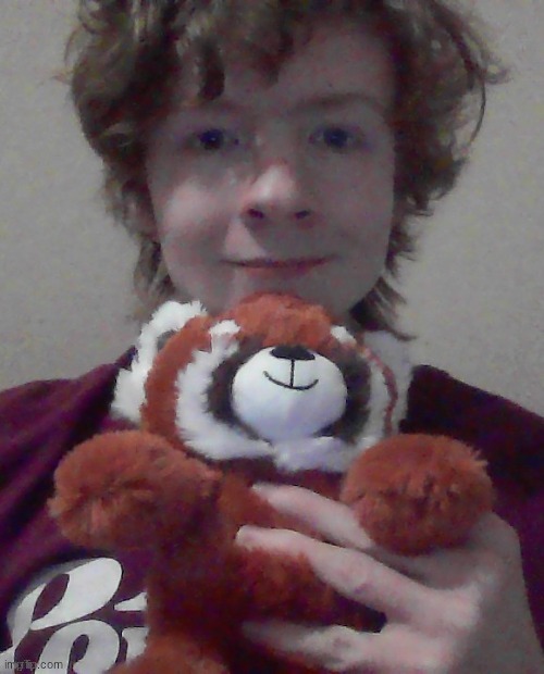 here's a red panda plush my mom got me on valentines day :3 | made w/ Imgflip meme maker