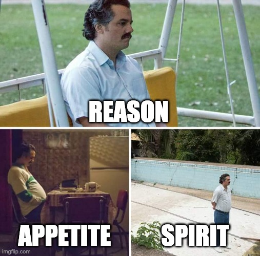 Sad Pablo Escobar Meme | REASON; APPETITE; SPIRIT | image tagged in memes,sad pablo escobar | made w/ Imgflip meme maker