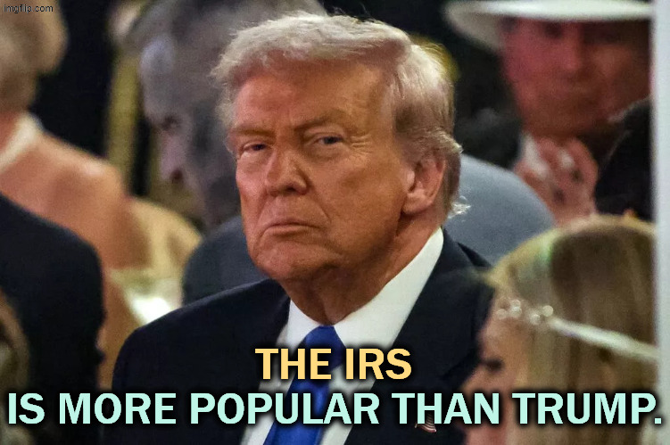 Trump concentrating, senile dementia, hatred | THE IRS; IS MORE POPULAR THAN TRUMP. | image tagged in trump concentrating senile dementia hatred,trump,angry,hatred,senile dementia,irs | made w/ Imgflip meme maker