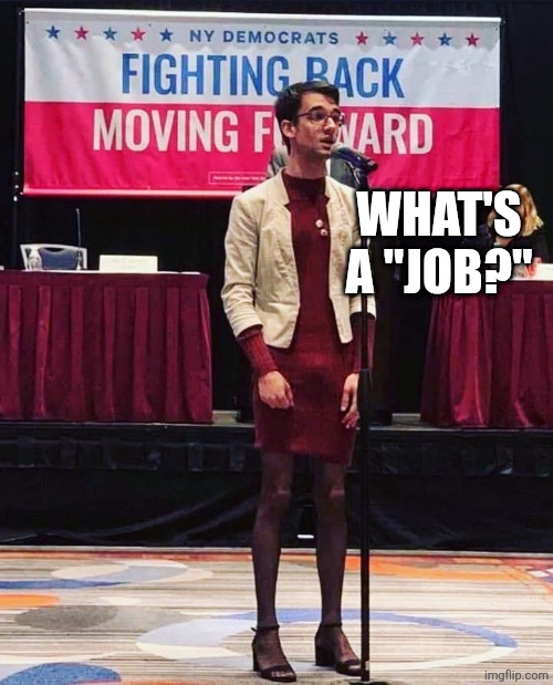 Today's Democrats Look Confused | WHAT'S A "JOB?" | image tagged in today's democrats look confused | made w/ Imgflip meme maker