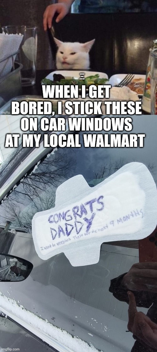 WHEN I GET BORED, I STICK THESE ON CAR WINDOWS AT MY LOCAL WALMART | image tagged in smudge that darn cat | made w/ Imgflip meme maker