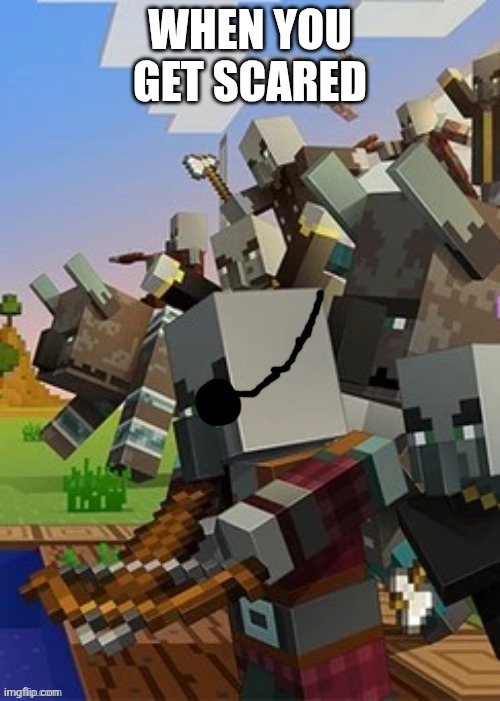 Illagers | WHEN YOU GET SCARED | image tagged in illagers | made w/ Imgflip meme maker