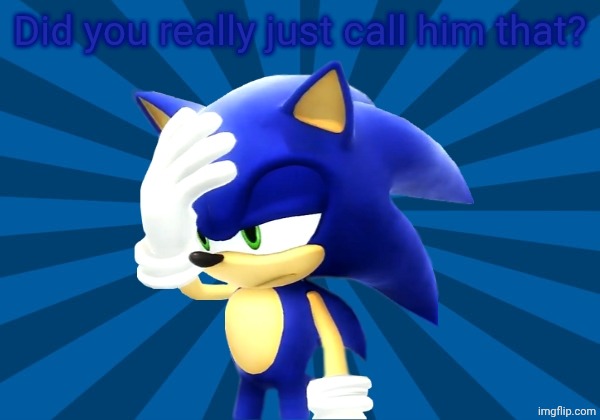 Unimpressed Sonic   | Did you really just call him that? | image tagged in unimpressed sonic | made w/ Imgflip meme maker