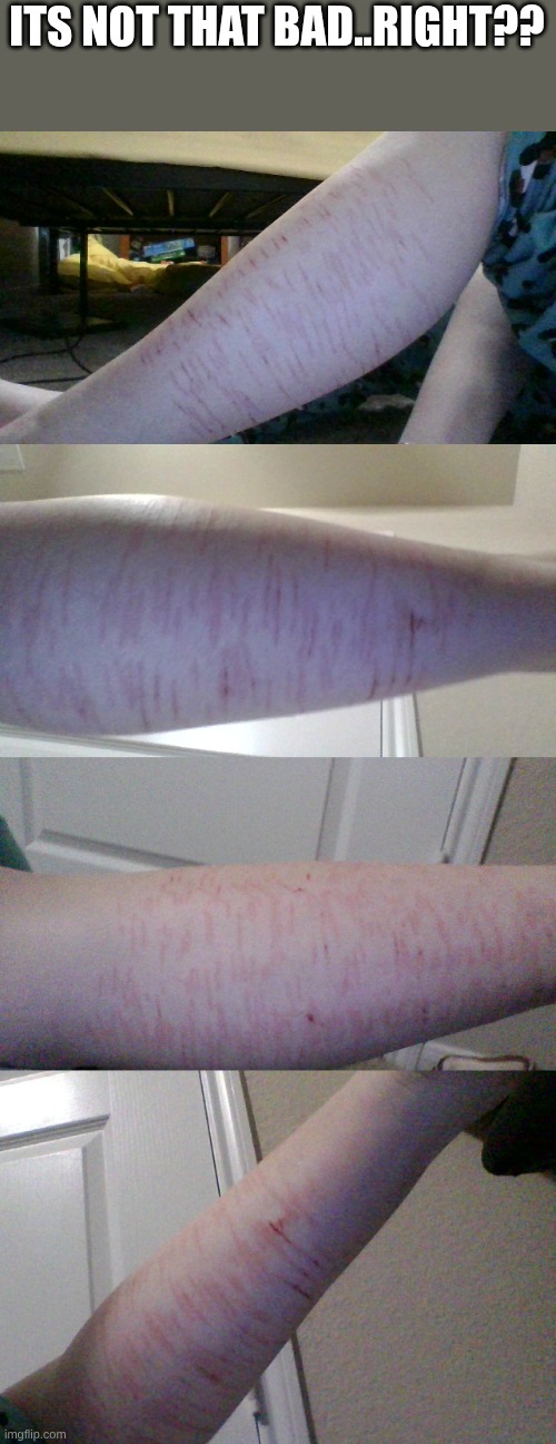 ITS NOT THAT BAD..RIGHT?? | made w/ Imgflip meme maker