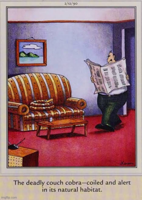 The cobra had been waiting for this moment for a very long time… | image tagged in the far side,comics,couch,cobra,deadly,camouflage | made w/ Imgflip meme maker
