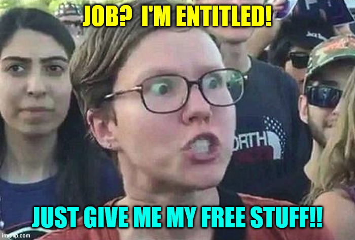 Triggered Liberal | JOB?  I'M ENTITLED! JUST GIVE ME MY FREE STUFF!! | image tagged in triggered liberal | made w/ Imgflip meme maker