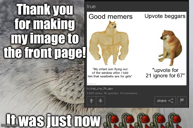 Satisfied Seal Meme | Thank you for making my image to the front page! It was just now 🥀🥀🥀🥀🥀 | image tagged in memes,satisfied seal | made w/ Imgflip meme maker