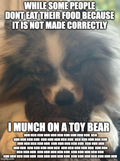pom | WHILE SOME PEOPLE DONT EAT THEIR FOOD BECAUSE IT IS NOT MADE CORRECTLY; I MUNCH ON A TOY BEAR; NOM NOM NOM NOM NOM NOM NOM NOM NOM NOM  NOM NOM NOM NOM NOM  NOM NOM NOM NOM NOM  NOM NOM NOM NOM NOM  NOM NOM NOM NOM NOM  NOM NOM NOM NOM NOM  NOM NOM NOM NOM NOM  NOM NOM NOM NOM NOM  NOM NOM NOM NOM NOM  NOM NOM NOM NOM NOM  NOM NOM NOM NOM NOM  NOM NOM NOM NOM NOM  NOM NOM NOM NOM NOM  NOM NOM NOM NOM NOM  NOM NOM NOM NOM NOM NOM NOM | image tagged in dog | made w/ Imgflip meme maker