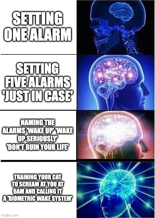 efeweq | SETTING ONE ALARM; SETTING FIVE ALARMS 'JUST IN CASE'; NAMING THE ALARMS 'WAKE UP' 'WAKE UP SERIOUSLY' 'DON'T RUIN YOUR LIFE'; TRAINING YOUR CAT TO SCREAM AT YOU AT 6AM AND CALLING IT A 'BIOMETRIC WAKE SYSTEM' | image tagged in memes,expanding brain | made w/ Imgflip meme maker