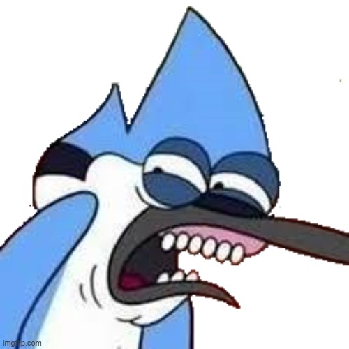 image tagged in disgusted mordecai | made w/ Imgflip meme maker