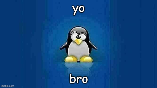 yo bro | yo; bro | image tagged in tux the penguin | made w/ Imgflip meme maker