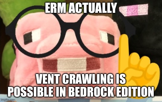 he’s not wrong | ERM ACTUALLY; VENT CRAWLING IS POSSIBLE IN BEDROCK EDITION | image tagged in memes,nerd pig,minecraft | made w/ Imgflip meme maker