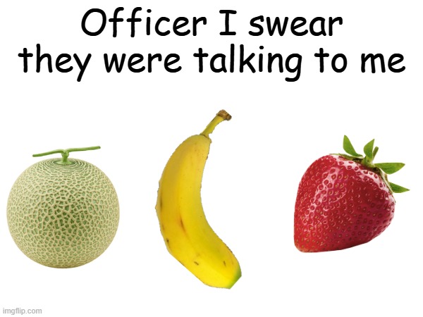 I'm not going crazy | Officer I swear they were talking to me | image tagged in friday night funkin,fnf,fruit medley mayhem | made w/ Imgflip meme maker