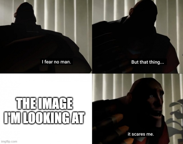 I fear no man. but that thing... It scares me. | THE IMAGE I'M LOOKING AT | image tagged in i fear no man but that thing it scares me | made w/ Imgflip meme maker
