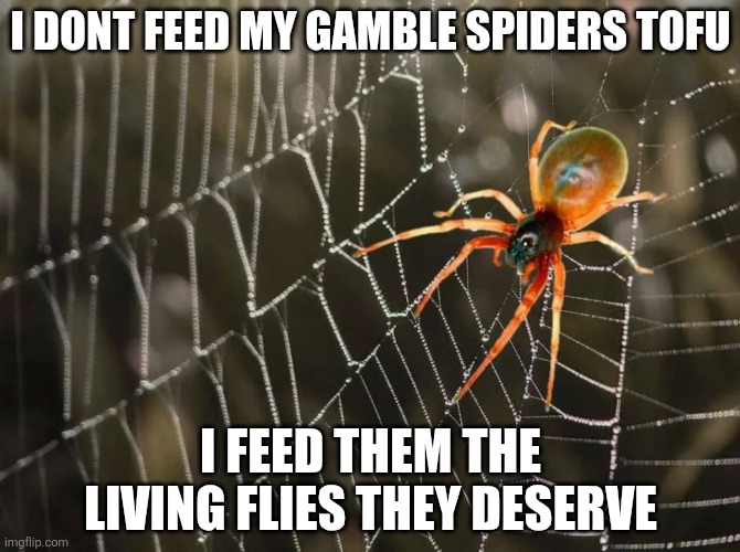 Cry vegans | I DONT FEED MY GAMBLE SPIDERS TOFU; I FEED THEM THE LIVING FLIES THEY DESERVE | image tagged in spider on the web | made w/ Imgflip meme maker