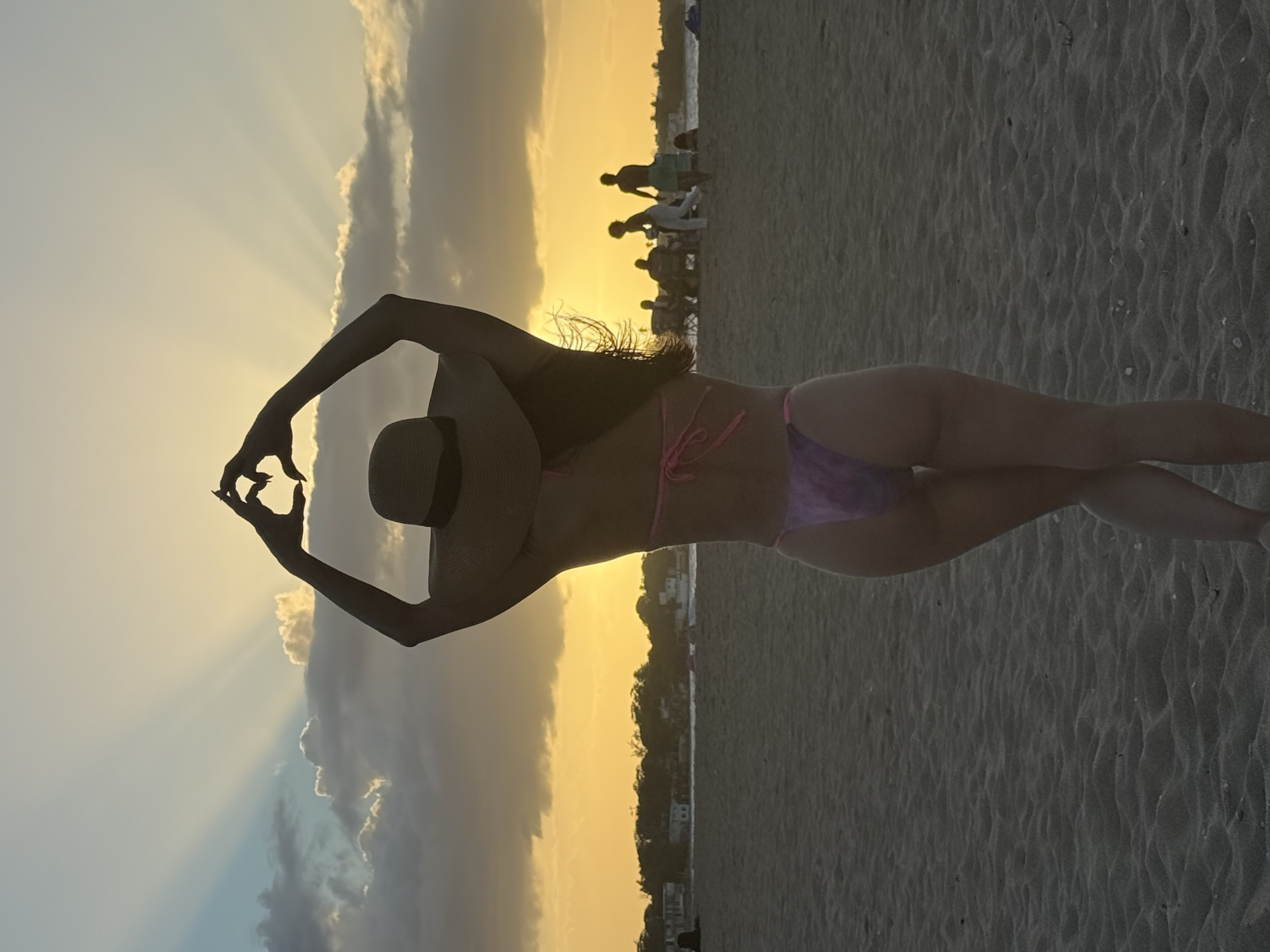 PHOENIX STORM EV Blank Meme Template