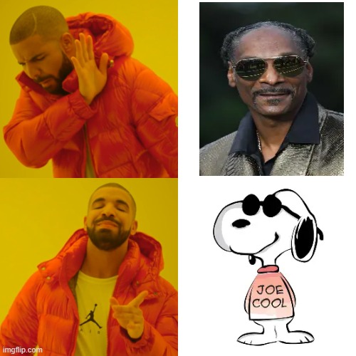 Not the dogg of snoop | image tagged in memes,drake hotline bling | made w/ Imgflip meme maker