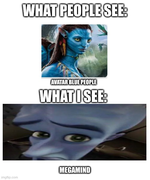 why tho | WHAT PEOPLE SEE:; WHAT I SEE:; AVATAR BLUE PEOPLE; MEGAMIND | image tagged in make your own meme | made w/ Imgflip meme maker