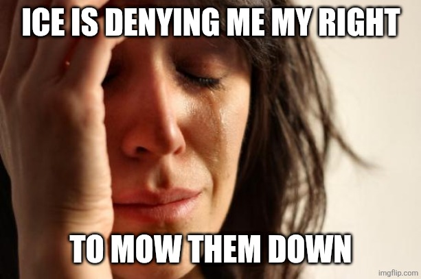ICE IS DENYING ME MY RIGHT TO MOW THEM DOWN | image tagged in memes,first world problems | made w/ Imgflip meme maker