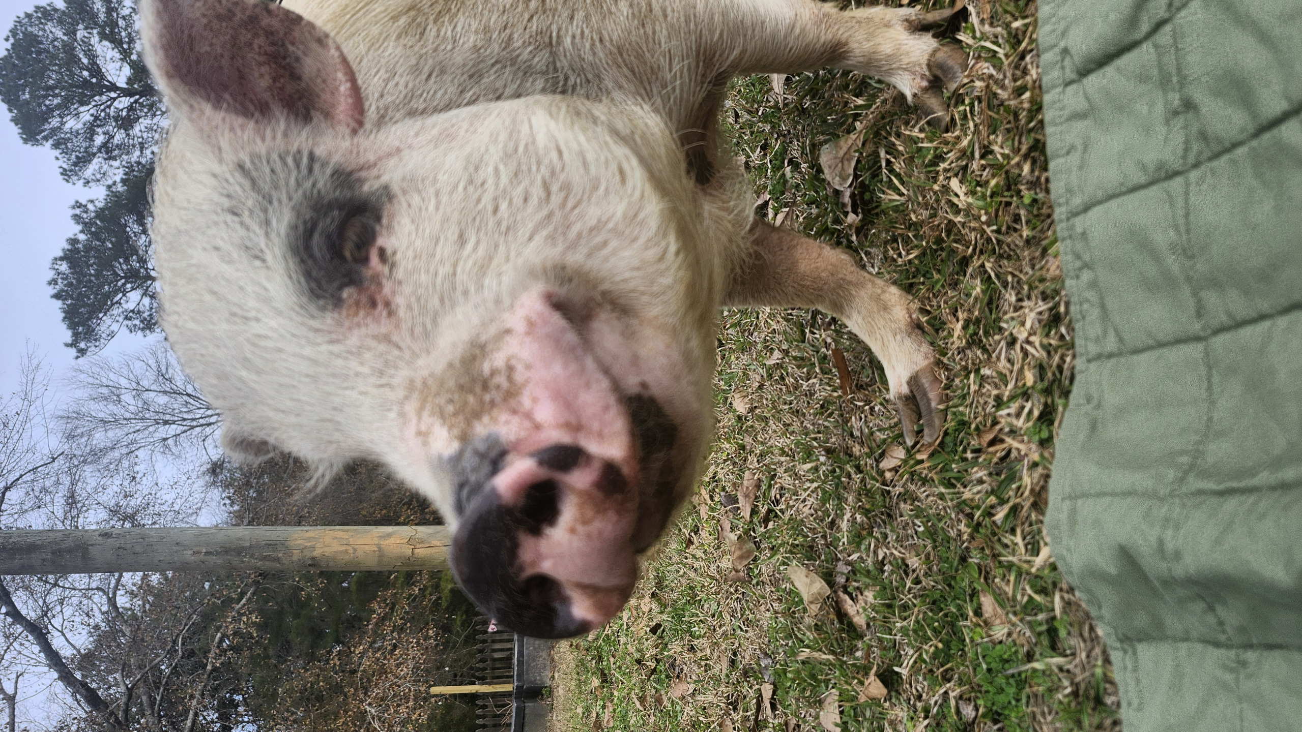 Seriously?! Blank Meme Template