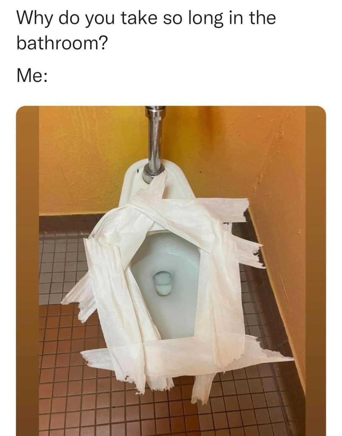 Tiolet meme Blank Meme Template