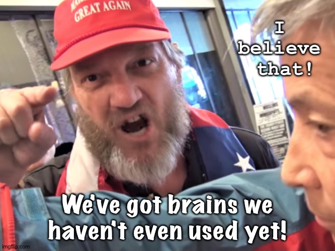 Angry Trump Supporter | I 
believe 
that! We've got brains we haven't even used yet! | image tagged in angry trump supporter | made w/ Imgflip meme maker
