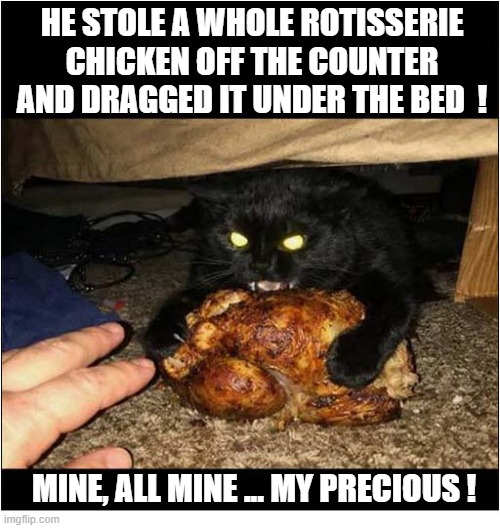 Watch Those Fingers Now ! | HE STOLE A WHOLE ROTISSERIE CHICKEN OFF THE COUNTER AND DRAGGED IT UNDER THE BED  ! MINE, ALL MINE ... MY PRECIOUS ! | image tagged in cats,chicken,stolen,my precious,fingers | made w/ Imgflip meme maker