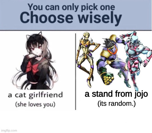 pick one. wisely | a stand from jojo; (its random.) | image tagged in choose wisely,jojo's bizarre adventure | made w/ Imgflip meme maker