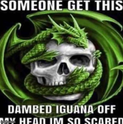 Someone get this dambed iguana if my head I’m so scared | image tagged in someone get this dambed iguana if my head i m so scared | made w/ Imgflip meme maker
