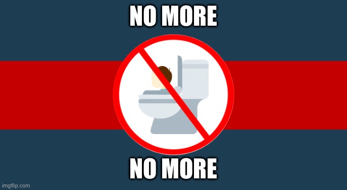Anti Brainrot Flag | NO MORE; NO MORE | image tagged in anti brainrot flag | made w/ Imgflip meme maker