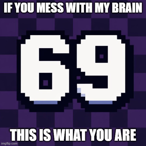 brain hate 69 | IF YOU MESS WITH MY BRAIN; THIS IS WHAT YOU ARE | image tagged in 69 | made w/ Imgflip meme maker