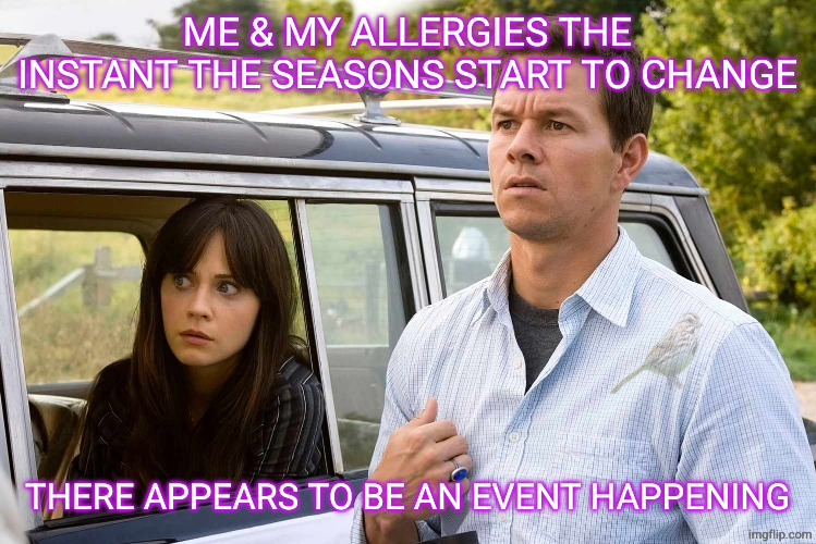 it's happening | ME & MY ALLERGIES THE INSTANT THE SEASONS START TO CHANGE; THERE APPEARS TO BE AN EVENT HAPPENING | image tagged in allergies,the happening,mark wahlberg | made w/ Imgflip meme maker