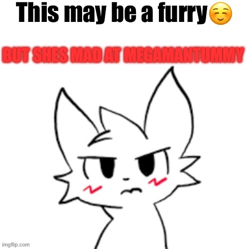 Thats boykisser | This may be a furry☺️; BUT SHES MAD AT MEGAMANTUMMY | image tagged in mad boykisser | made w/ Imgflip meme maker