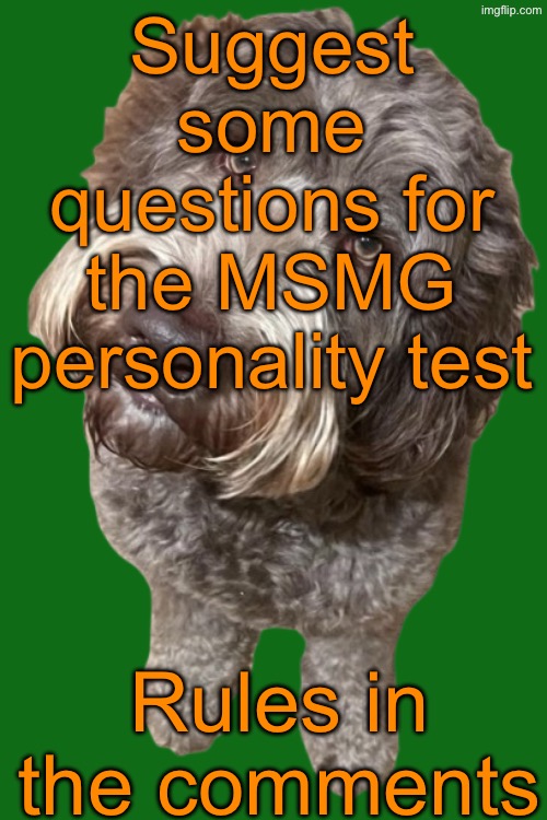 I‘m planning on adding 30-40 questions | Suggest some questions for the MSMG personality test; Rules in the comments | image tagged in northers dog transparent | made w/ Imgflip meme maker